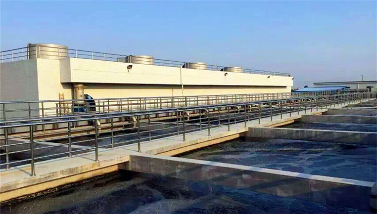 環(huán)?；?>
            <p class=